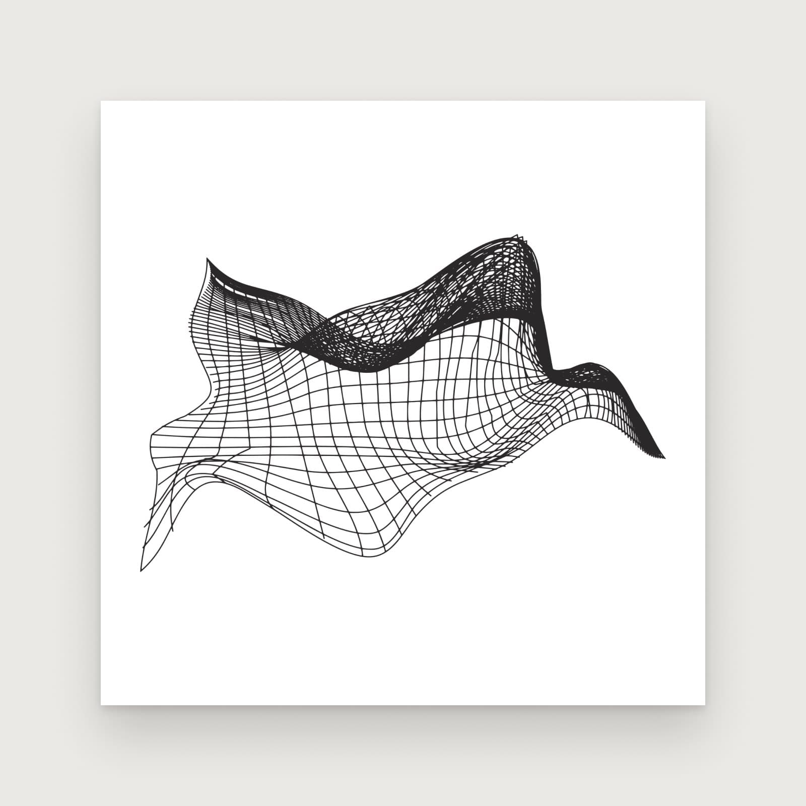 A wireframe print: a warped grid surface drawn in black lines