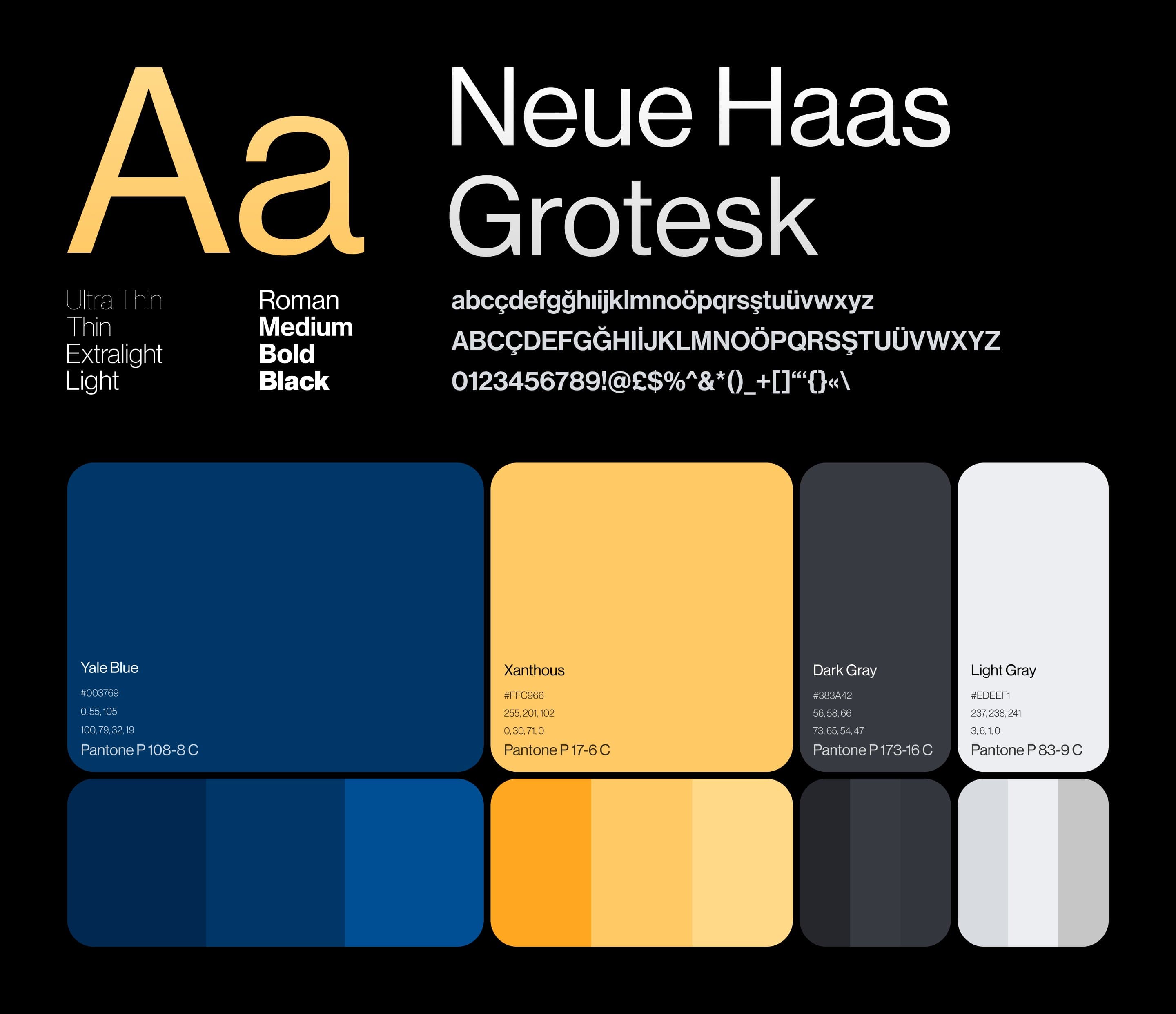 Neue Haas Grotesk in eight weights with its glyphs, and the solarVis palette of blue, yellow, dark gray and light gray with their tints